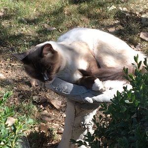 Meet your Posher, Laura